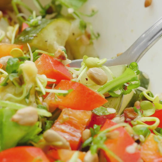 Meal Replacer Salads